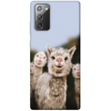 TPU чохол Demsky Funny llamas для Samsung Galaxy Note 20