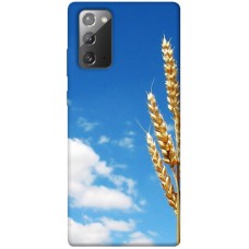TPU чохол Demsky Пшеница для Samsung Galaxy Note 20
