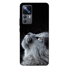 TPU чехол Demsky Cute cat для Xiaomi 12T / 12T Pro