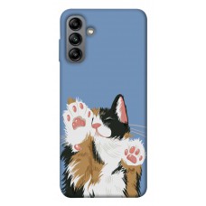 TPU чохол Demsky Funny cat для Samsung Galaxy A04s