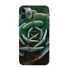 TPU чехол Demsky Эхеверия для Apple iPhone 11 Pro (5.8")