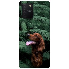 TPU чохол Demsky Собака в зелени для Samsung Galaxy S10 Lite