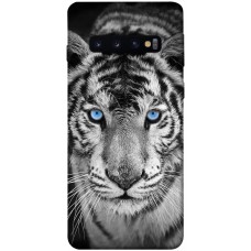 TPU чохол Demsky Бенгальский тигр для Samsung Galaxy S10