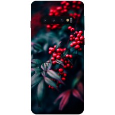 TPU чохол Demsky Red berry для Samsung Galaxy S10