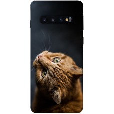 TPU чохол Demsky Рыжий кот для Samsung Galaxy S10