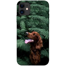 TPU чохол Demsky Собака в зелени для Apple iPhone 11 (6.1")