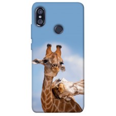 TPU чохол Demsky Милые жирафы для Xiaomi Redmi Note 5 Pro / Note 5 (AI Dual Camera)