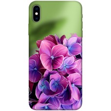 TPU чехол Demsky Кружевная гортензия для Apple iPhone X (5.8")