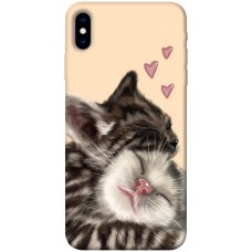 TPU чехол Demsky Cats love для Apple iPhone X (5.8")