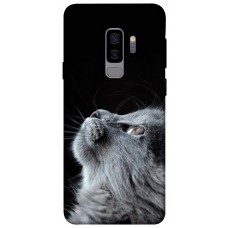 TPU чохол Demsky Cute cat для Samsung Galaxy S9+