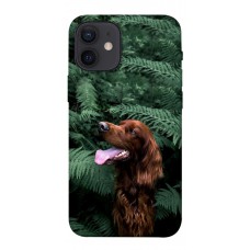 TPU чохол Demsky Собака в зелени для Apple iPhone 12 mini (5.4")