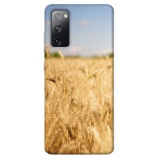 TPU чохол Demsky Поле пшеницы для Samsung Galaxy S20 FE