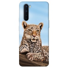 TPU чехол Demsky Proud leopard для OnePlus Nord