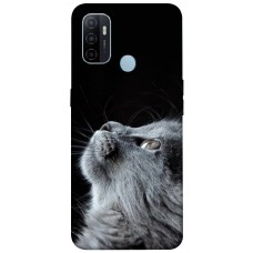 TPU чохол Demsky Cute cat для Oppo A53 / A32 / A33