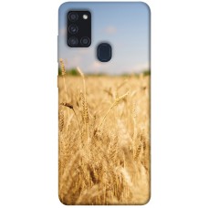 TPU чохол Demsky Поле пшеницы для Samsung Galaxy A21s