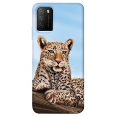 TPU чохол Demsky Proud leopard для Xiaomi Poco M3