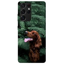 TPU чохол Demsky Собака в зелени для Samsung Galaxy S21 Ultra