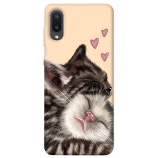 TPU чохол Demsky Cats love для Samsung Galaxy A02