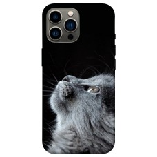TPU чохол Demsky Cute cat для Apple iPhone 13 Pro Max (6.7")