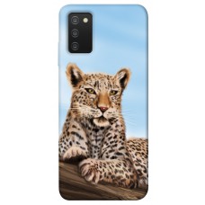 TPU чехол Demsky Proud leopard для Samsung Galaxy A03s