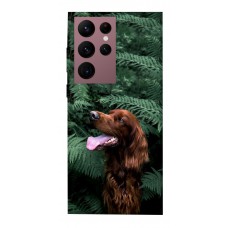 TPU чохол Demsky Собака в зелени для Samsung Galaxy S22 Ultra