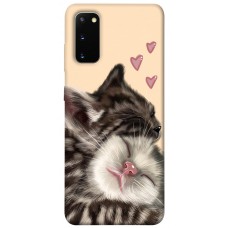 TPU чохол Demsky Cats love для Samsung Galaxy S20