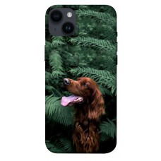 TPU чохол Demsky Собака в зелени для Apple iPhone 14 Plus (6.7")