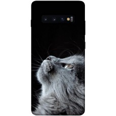 TPU чохол Demsky Cute cat для Samsung Galaxy S10+