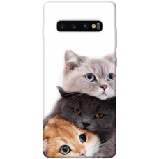 TPU чохол Demsky Три кота для Samsung Galaxy S10+