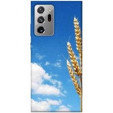 TPU чохол Demsky Пшеница для Samsung Galaxy Note 20 Ultra