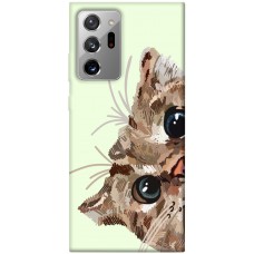TPU чохол Demsky Cat muzzle для Samsung Galaxy Note 20 Ultra