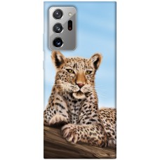 TPU чохол Demsky Proud leopard для Samsung Galaxy Note 20 Ultra