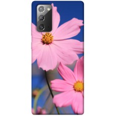 TPU чохол Demsky Розовая ромашка для Samsung Galaxy Note 20