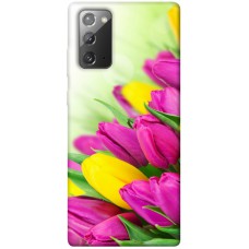 TPU чохол Demsky Красочные тюльпаны для Samsung Galaxy Note 20