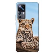 TPU чохол Demsky Proud leopard для Xiaomi 12T / 12T Pro