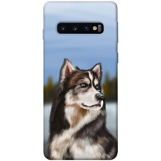 TPU чохол Demsky Wolf для Samsung Galaxy S10