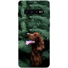 TPU чохол Demsky Собака в зелени для Samsung Galaxy S10