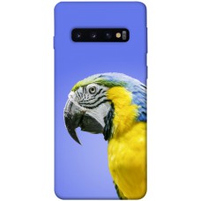 TPU чохол Demsky Попугай ара для Samsung Galaxy S10