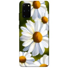 TPU чехол Demsky Ароматна ромашка для Samsung Galaxy S20+