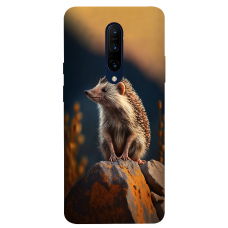 TPU чохол Demsky Їжак (hedgehog) для OnePlus 7 Pro