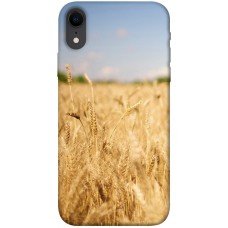 TPU чохол Demsky Поле пшеницы для Apple iPhone XR (6.1")