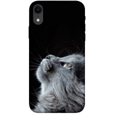 TPU чохол Demsky Cute cat для Apple iPhone XR (6.1")