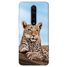 TPU чехол Demsky Proud leopard для Xiaomi Redmi K20 / K20 Pro / Mi9T / Mi9T Pro