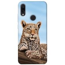 TPU чехол Demsky Proud leopard для Xiaomi Redmi Note 7 / Note 7 Pro / Note 7s