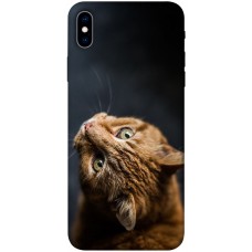 TPU чохол Demsky Рыжий кот для Apple iPhone XS Max (6.5")