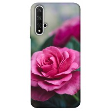 TPU чохол Demsky Роза в саду для Huawei nova 5T