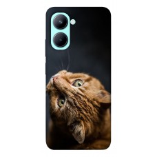 TPU чехол Demsky Рыжий кот для Realme C33