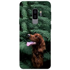 TPU чохол Demsky Собака в зелени для Samsung Galaxy S9+