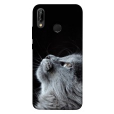 TPU чохол Demsky Cute cat для Huawei P20 lite (2019)