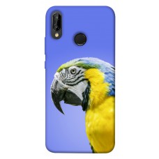 TPU чохол Demsky Попугай ара для Huawei P20 lite (2019)